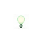 LÂMPADA INCANDESCENTE BOLINHA VERDE 15W TASCHIBRA