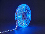 FITA LED TASCHIBRA PRO 12W 72LEDS/M 5M 24V IP20 RGB + 2700K