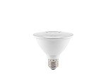 LÂMPADA LED TASCHIBRA  PAR 30 11W 38°