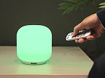 LUMINÁRIA LED TASCHIBRA JUJUBA IR RGB 8W