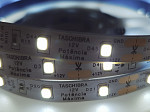 FITA LED TASCHIBRA PRO 4,8W 60LEDS/M 5M 12V IP20