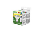 LÂMPADA LED TASCHIBRA  PAR 30 11W 38°