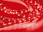 FITA LED 2,5W 30 LEDS/M 5M 12V COM FONTE AUTOVOLT IP20 VERMELHA