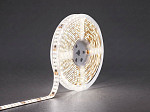 FITA LED TECHFREE  20W 240LEDS/M 5M IP65