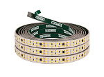 FITA LED TECHFREE  20W 240LEDS/M 50M IP65