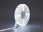 FITA LED TECHFREE  20W 240LEDS/M 5M IP65