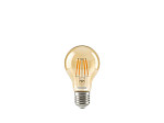 LÂMPADA LED TASCHIBRA FILAMENTO VINTAGE A60 4W AUTOVOLT AMBAR