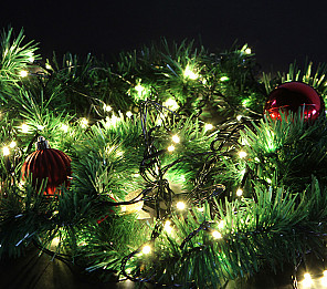 CORDÃO LUMINOSO TASCHIBRA 100 LEDS ESTÁTICO ISOL VD 3000K