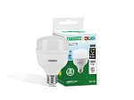 LÂMPADA HIGH LED TASCHIBRA TKL 110 / 20W E27