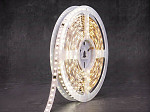 FITA LED  TECHFREE  12W 120LEDS/M 5M 220V IP65