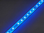 FITA LED TASCHIBRA PRO 12W 72LEDS/M 5M 24V IP20 RGB + 2700K