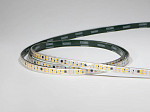 FITA LED TECHFREE  20W 240LEDS/M 5M IP65