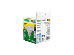 LÂMPADA LED TASCHIBRA PAR 38 14W 38°