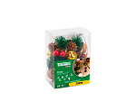 CORDÃO LUMINOSO TASCHIBRA 10 LEDS PINHAS PILHA 3000K