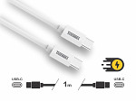 CABO TURBO TASCHIBRA C3CC-1B USB-C USB-C 1m 3A BRA
