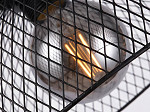 PENDENTE TASCHIBRA BASKET 1XE27