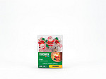 CORDÃO LUMINOSO TASCHIBRA 10 LEDS PILHA NOEL