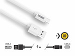 CABO FAST TASCHIBRA C2AC-1B  USB-A USB-C 1m 2A BRA